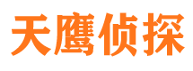 莱西侦探公司